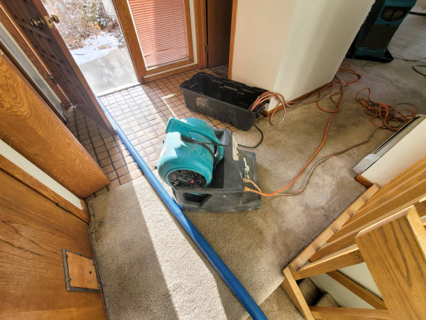 Best Flooded house restoration  in Prestbury, IL