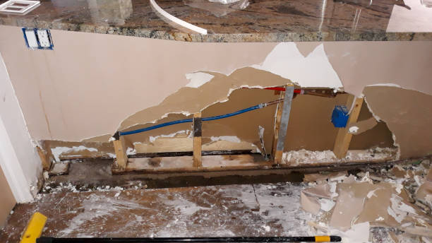 Best Fire Damage Restoration  in Prestbury, IL