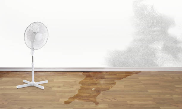 Best Water damage restoration near me  in Prestbury, IL