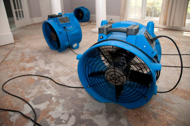 Best Flood damage cleanup  in Prestbury, IL