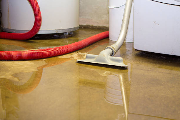 Best Local water damage restoration  in Prestbury, IL
