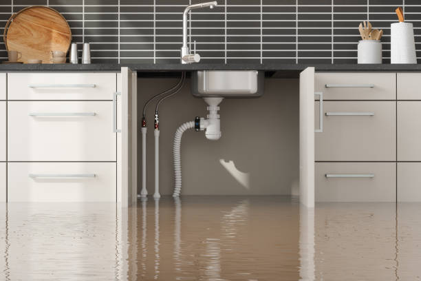 Best Water damage restoration process  in Prestbury, IL