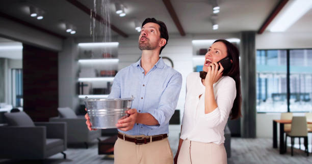 Best Water damage cleanup near me  in Prestbury, IL