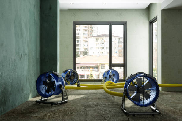 Best Emergency water damage restoration  in Prestbury, IL